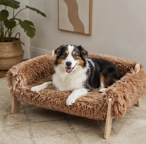 Canapé pour Chien