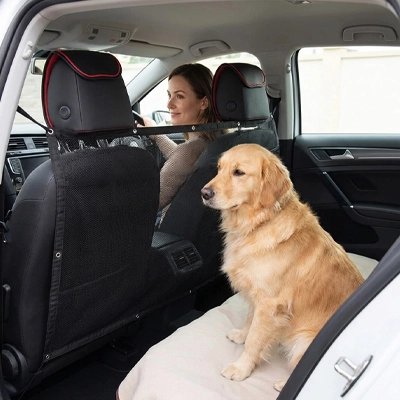 Filet pour chien pour voiture