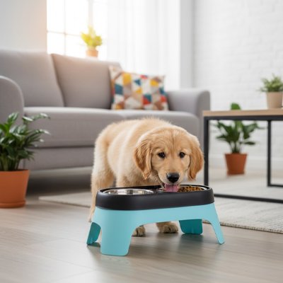 Gamelle chien surélevée