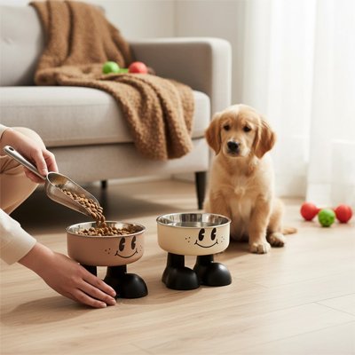 Gamelle chien surélevée