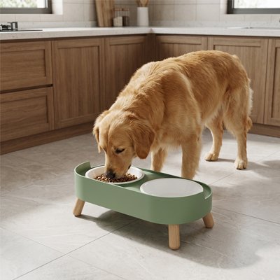 Gamelle pour Chien