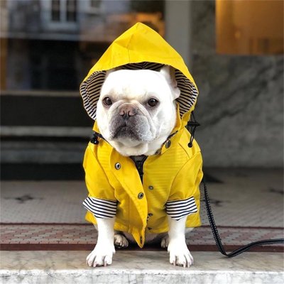 Imperméable pour chien