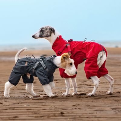 Imperméable pour chien