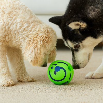 Balle pour Chien