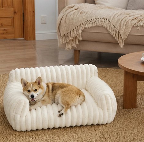 Canapé pour Chien