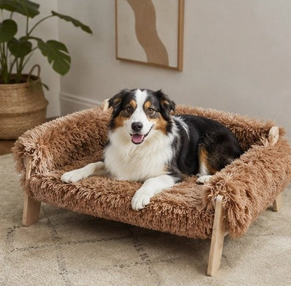 Canapé pour Chien