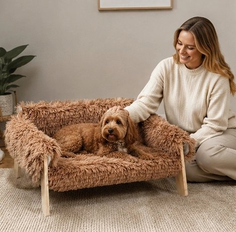 Canapé pour Chien
