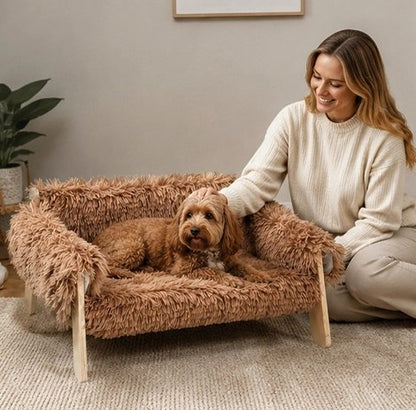 Canapé pour Chien