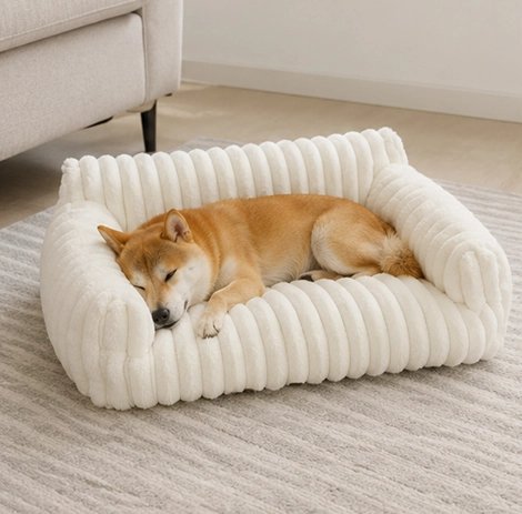 Canapé pour Chien