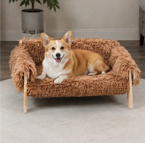 Canapé pour Chien