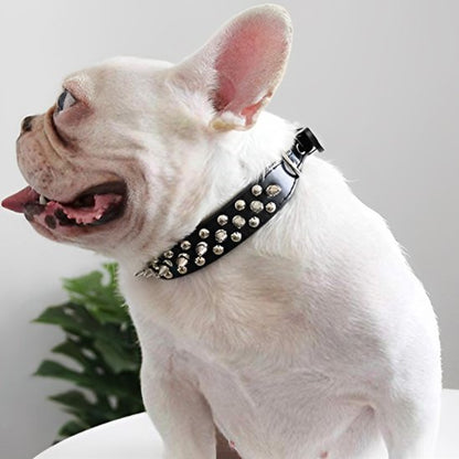 Collier pour chien 