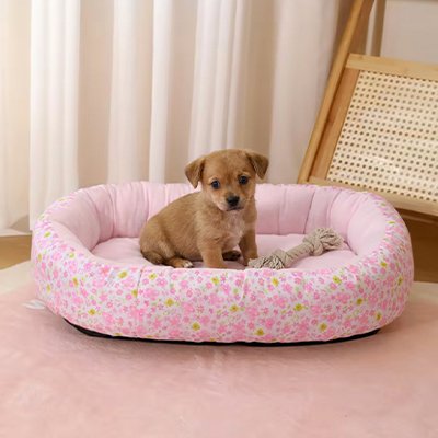 Coussin Chien 