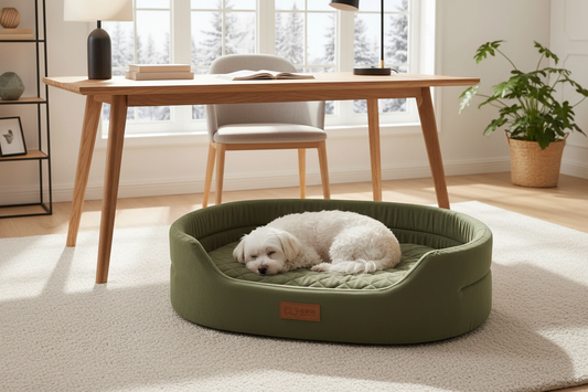 Coussin vert – bureau cosy