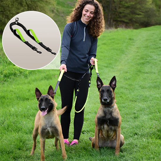 Double laisse pour chien