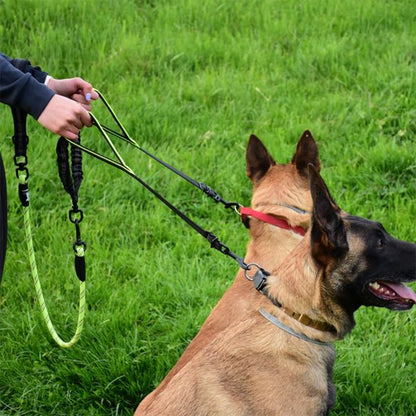 Double laisse pour chien