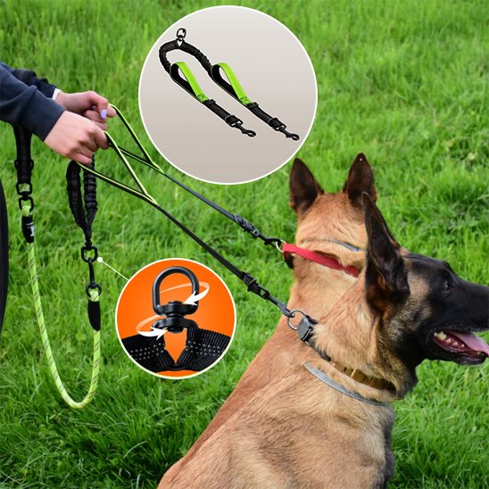 Double laisse pour chien