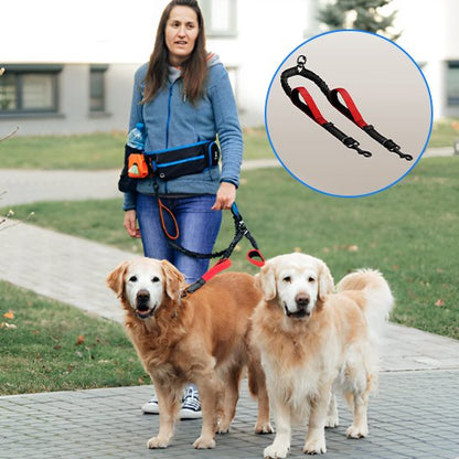 Double laisse pour chien