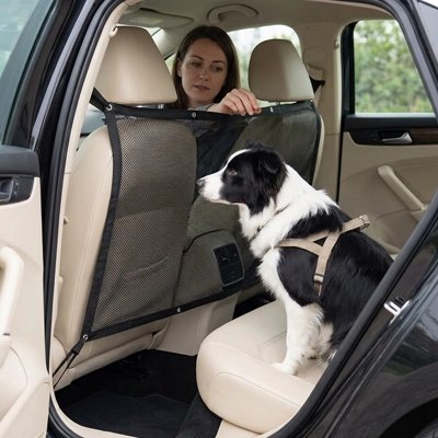 Filet pour chien pour voiture