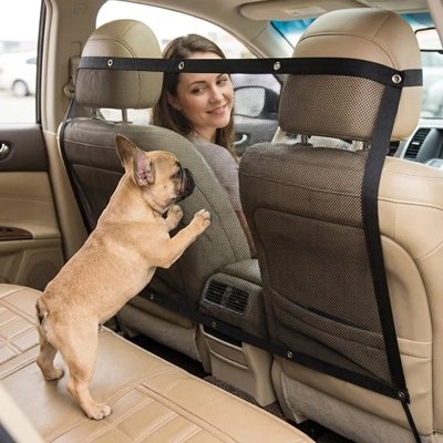 Filet pour chien pour voiture
