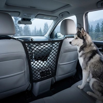 Filet voiture chien