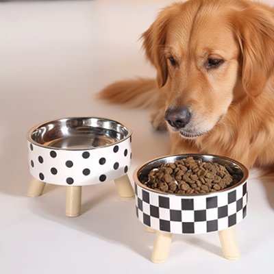 Gamelle chien surélevée