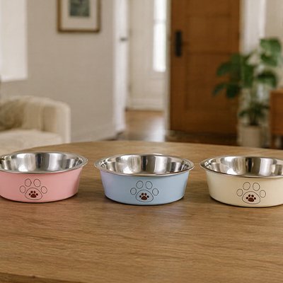 Gamelle pour Chien