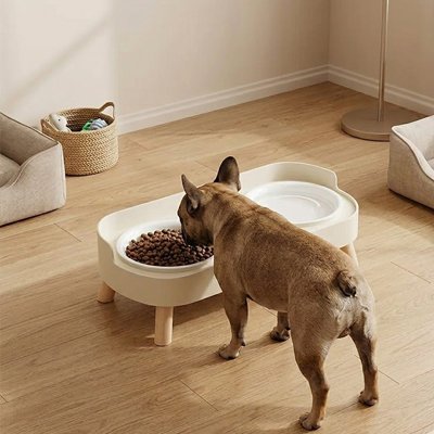 Gamelle pour Chien