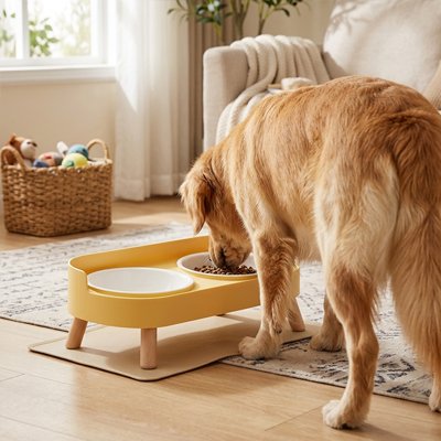 Gamelle pour Chien