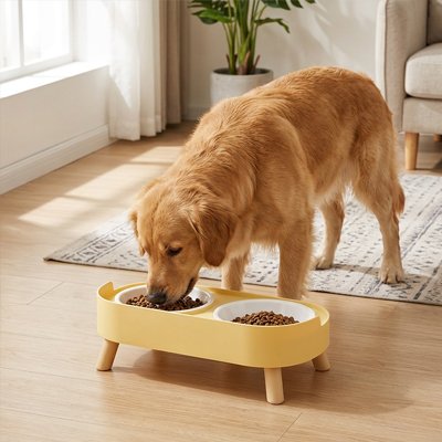 Gamelle pour Chien