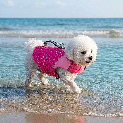 Gilet de sauvetage Chien