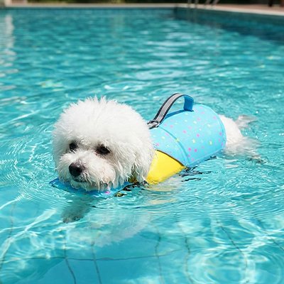 Gilet de sauvetage Chien