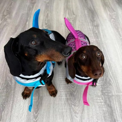 Gilet de sauvetage chien