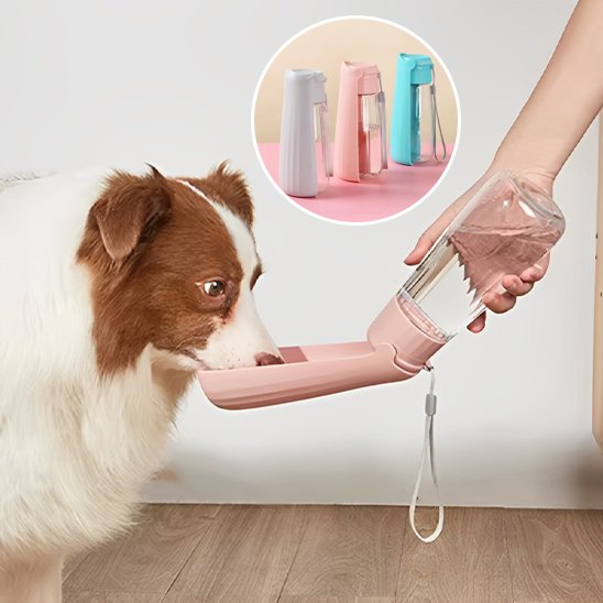 Gourde chien