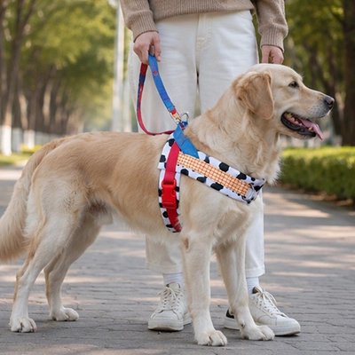 Harnais pour Chien