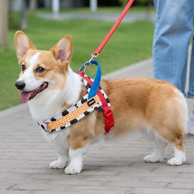 Harnais pour Chien