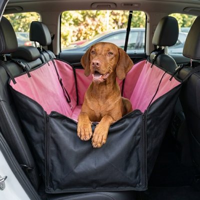 Housse voiture chien
