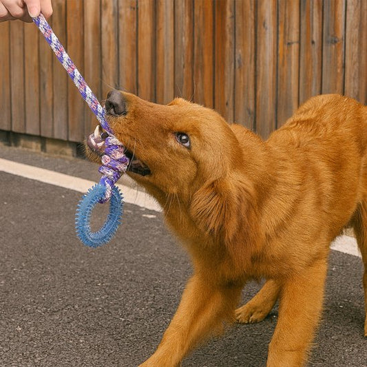 Jouet chien