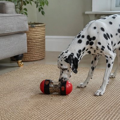 Jouet Chien