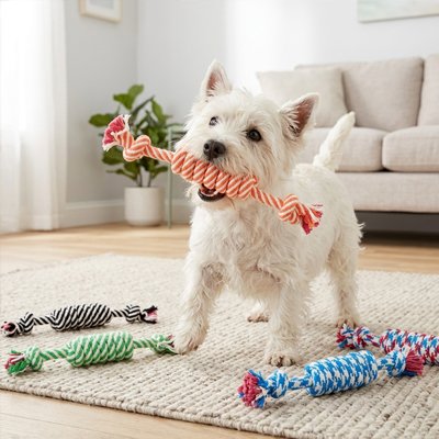 Jouet pour chien​