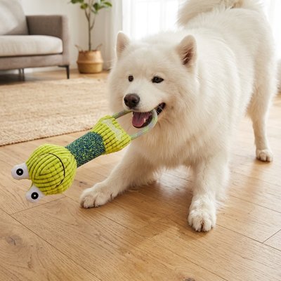 Jouet pour chien​ 