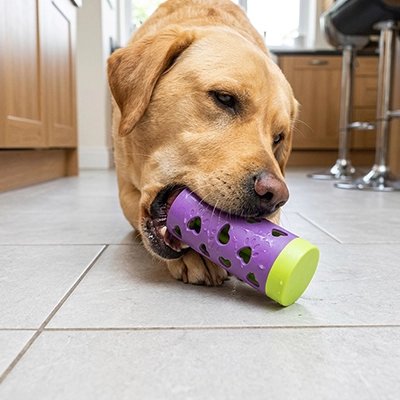 Jouet pour chien​