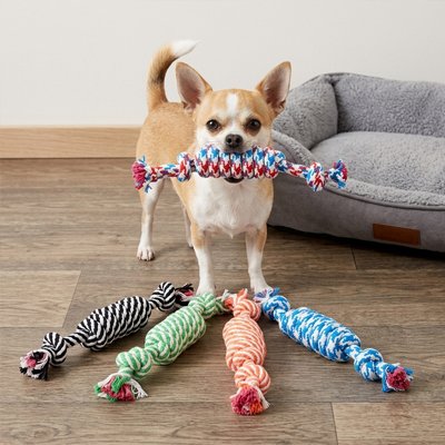 Jouet pour chien​