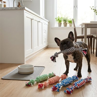Jouet pour chien​
