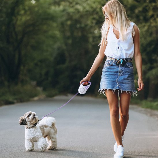 Laisse chien enrouleur
