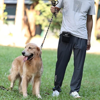 Laisse chien