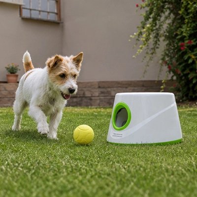 Lanceur de balle pour Chien