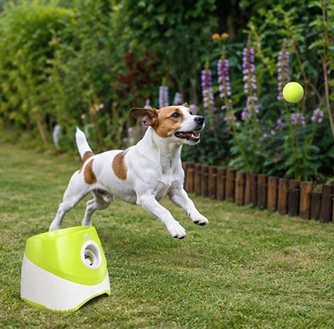 Lanceur de balle pour Chien