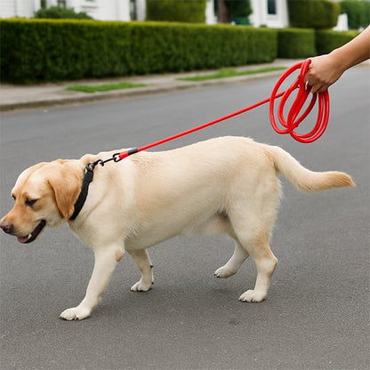 Longe pour chien