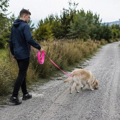 Longe pour Chien