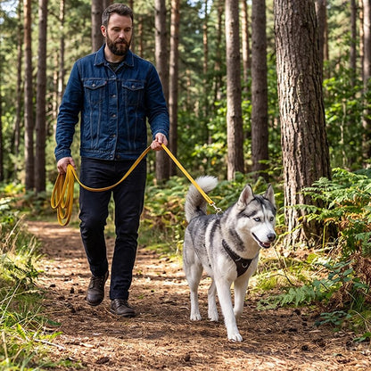 Longe pour Chien